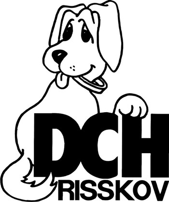 Logo DCH-Risskov