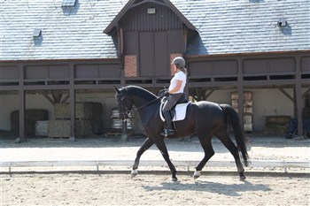 Photo: Dressage lesson in the big outdoor arena, surrounded to all sides by the beautiful 16th Century buildings